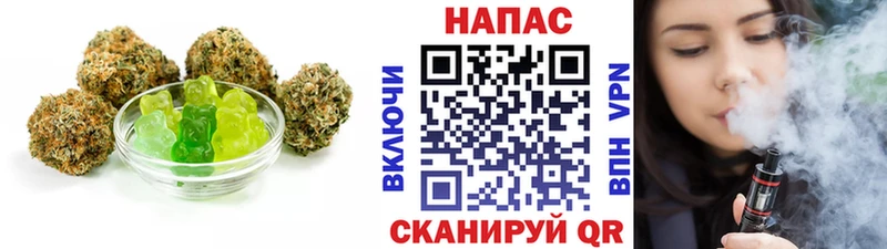 Canna-Cookies марихуана  Купить закладки  Мензелинск 