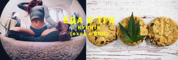 крисы Гатчина